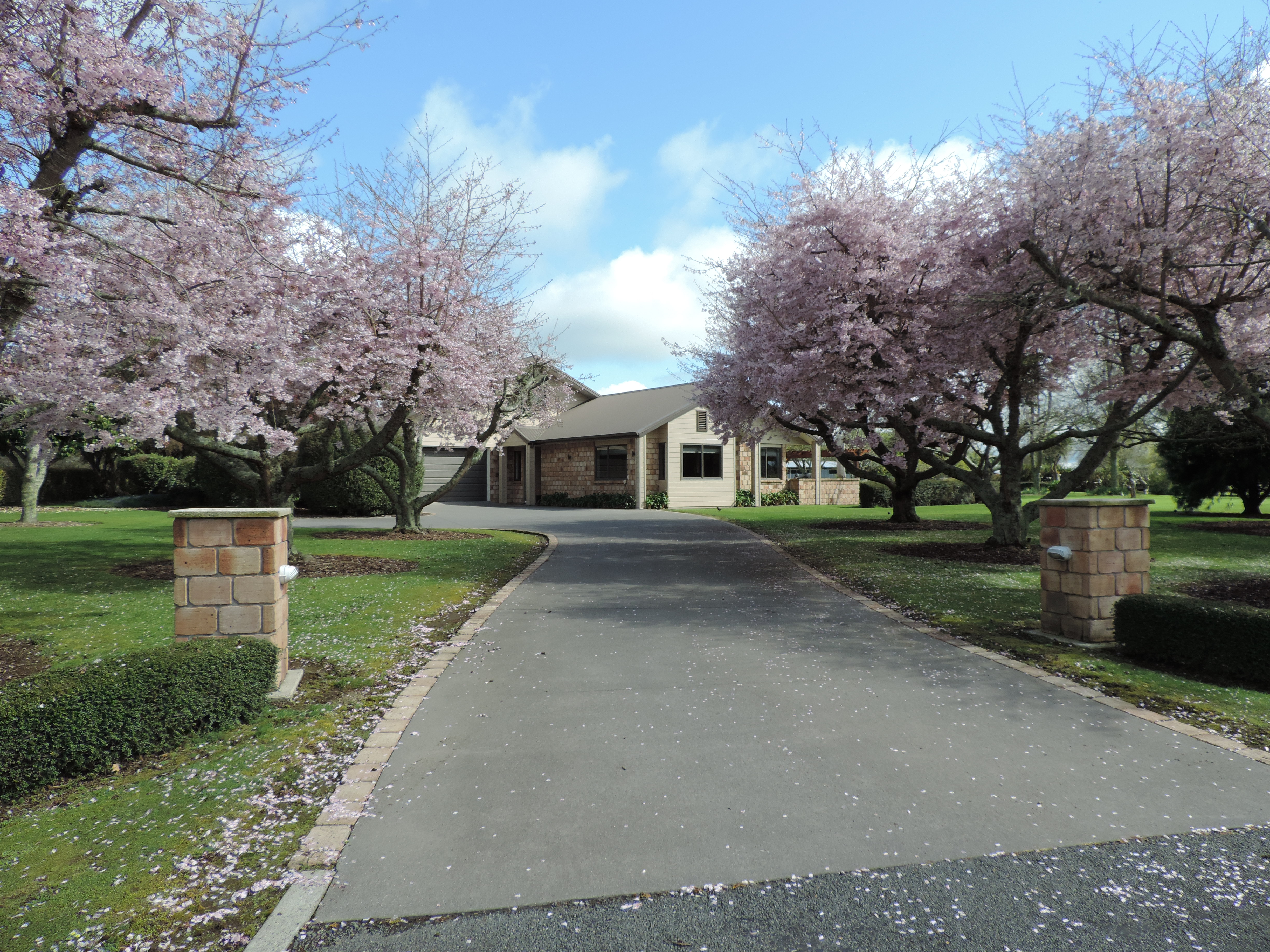 14 James Avenue, Matamata, Matamata, 4 રૂમ, 3 બાથરૂમ, House