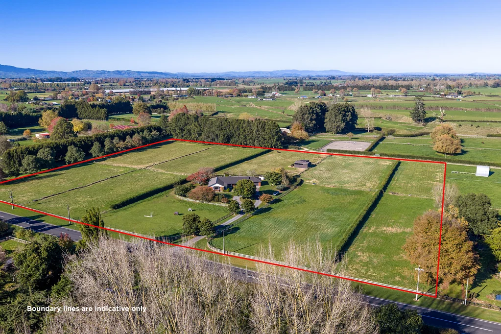 Ohaupo  Family lifestyle, flat land and fabulous location