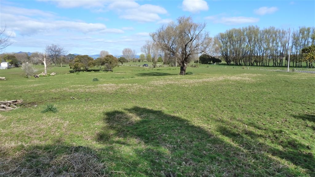 15 Warahoe Road, Matatoki, Coromandel, 4 Bedrooms, 0 Bathrooms