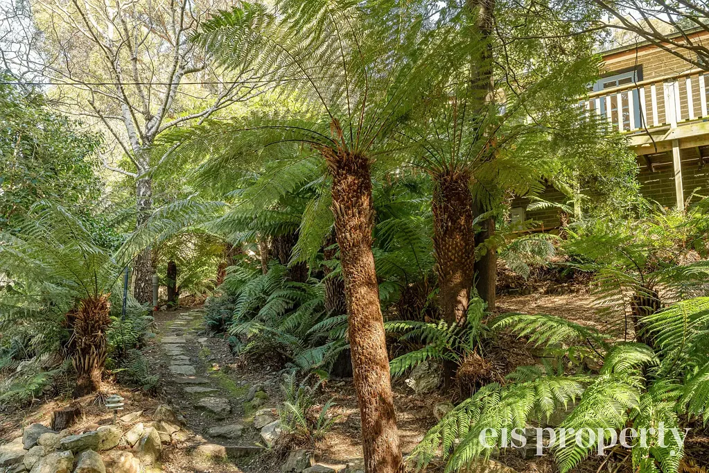 Fern Tree 3બેડરૂમ A Private Retreat Amongst the Treetops