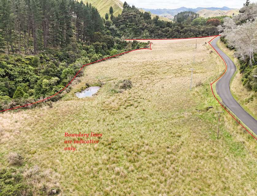 - State Highway 4, Parikino, Wanganui, 0房, 0浴, Lifestyle Section