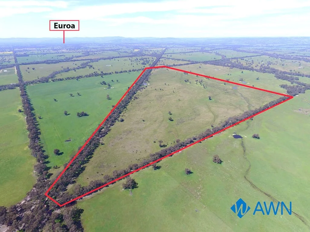Pranjip Cropping - Grazing 140ha ~ 348 Ac