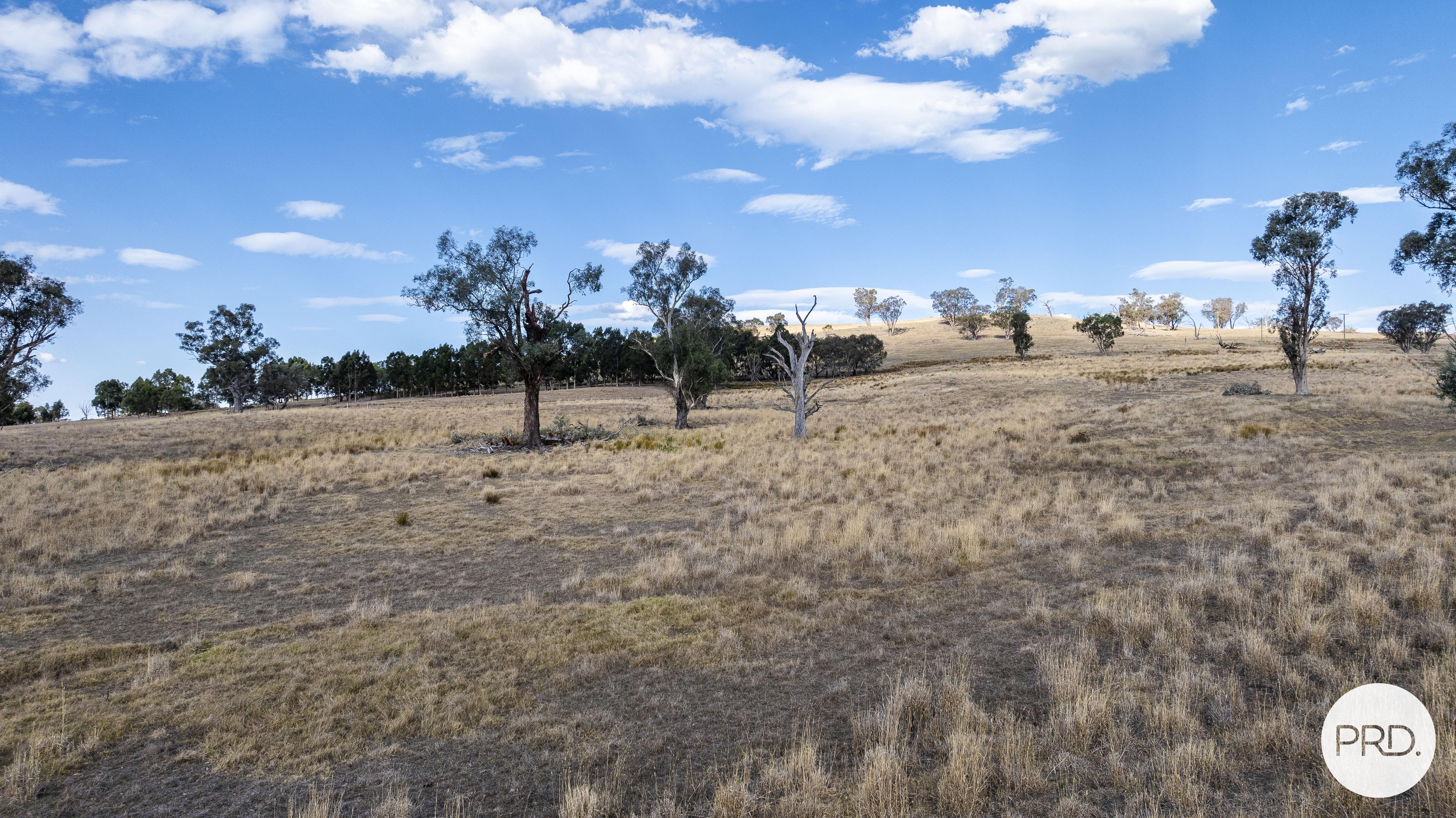 68 ROCKY HILL RTT, WIRLINGA NSW 2640, 0 phòng ngủ, 0 phòng tắm, Section