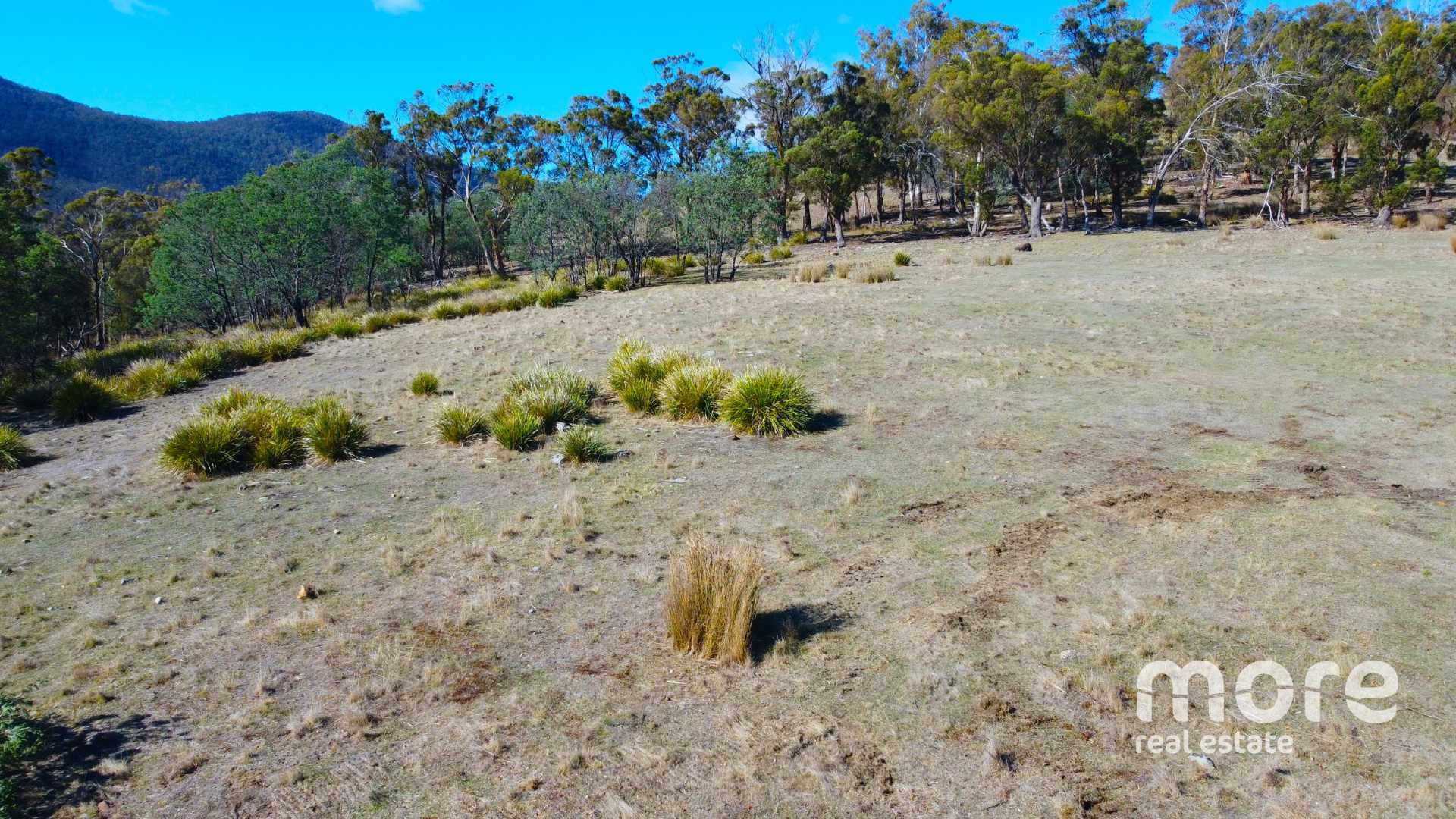 404 MOLESWORTH RD, MOLESWORTH TAS 7140, 0 રૂમ, 0 બાથરૂમ, Section