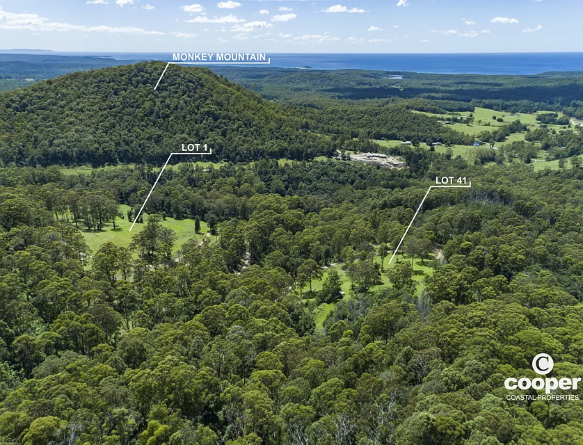 Lot 1 Monkey Mountain Road, Termeil, South Coast, 0 chambres, 0 salles de bain, Lifestyle Property