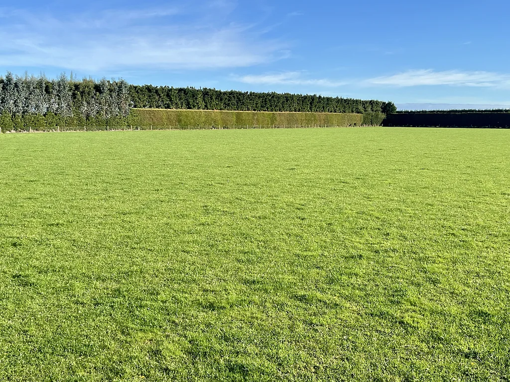 40 Billy Way, West Plains, Southland