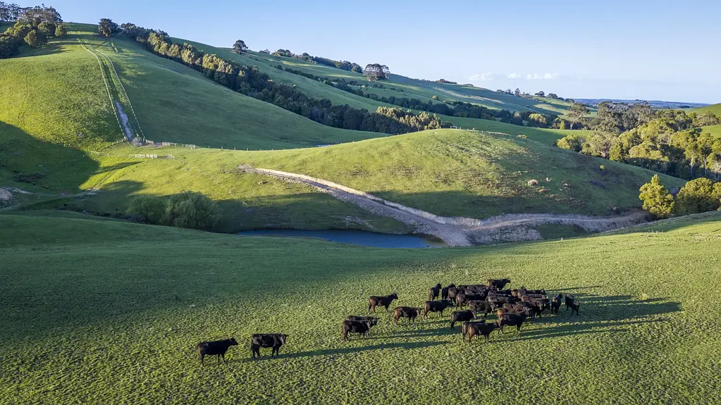 Foster North Turnkey Grazing Opportunity