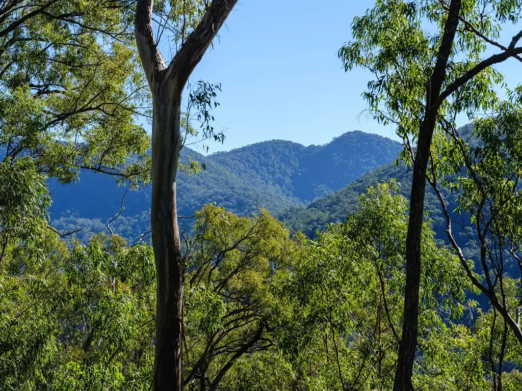 Cedar Creek Cedar Creek 2.75 Hectares