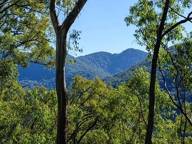 Iba Pa - Address Withheld, Cedar Creek, QLD 4520