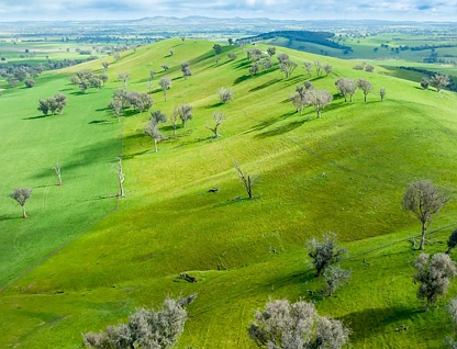  "The Pinnacles" Stonehaven Road, Holbrook, Riverina, 0 chambres, 0 salles de bain, Lifestyle Property