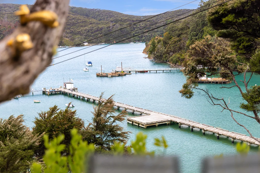 Kawau Island  Owner says sell- bring me an offer now