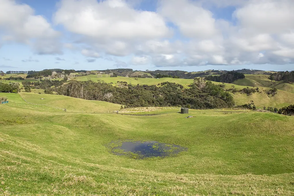 South Head  Awaiting a home and Inhabitants: