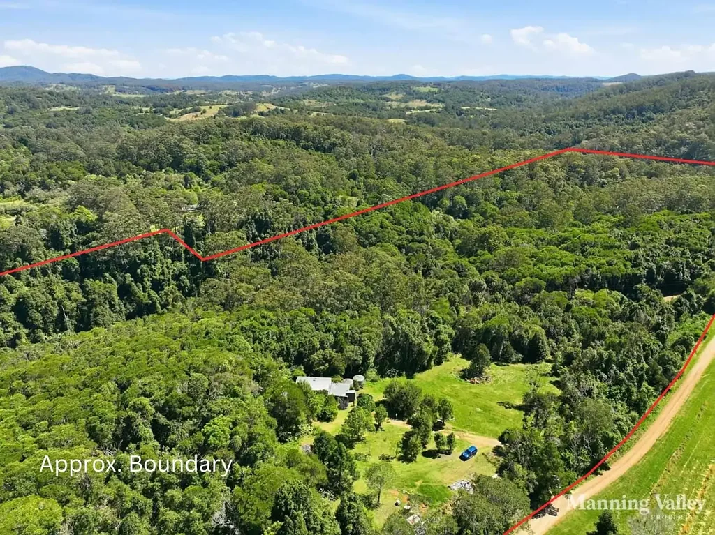 Elands  A Rare Rainforest Holding in the Heart of Elands