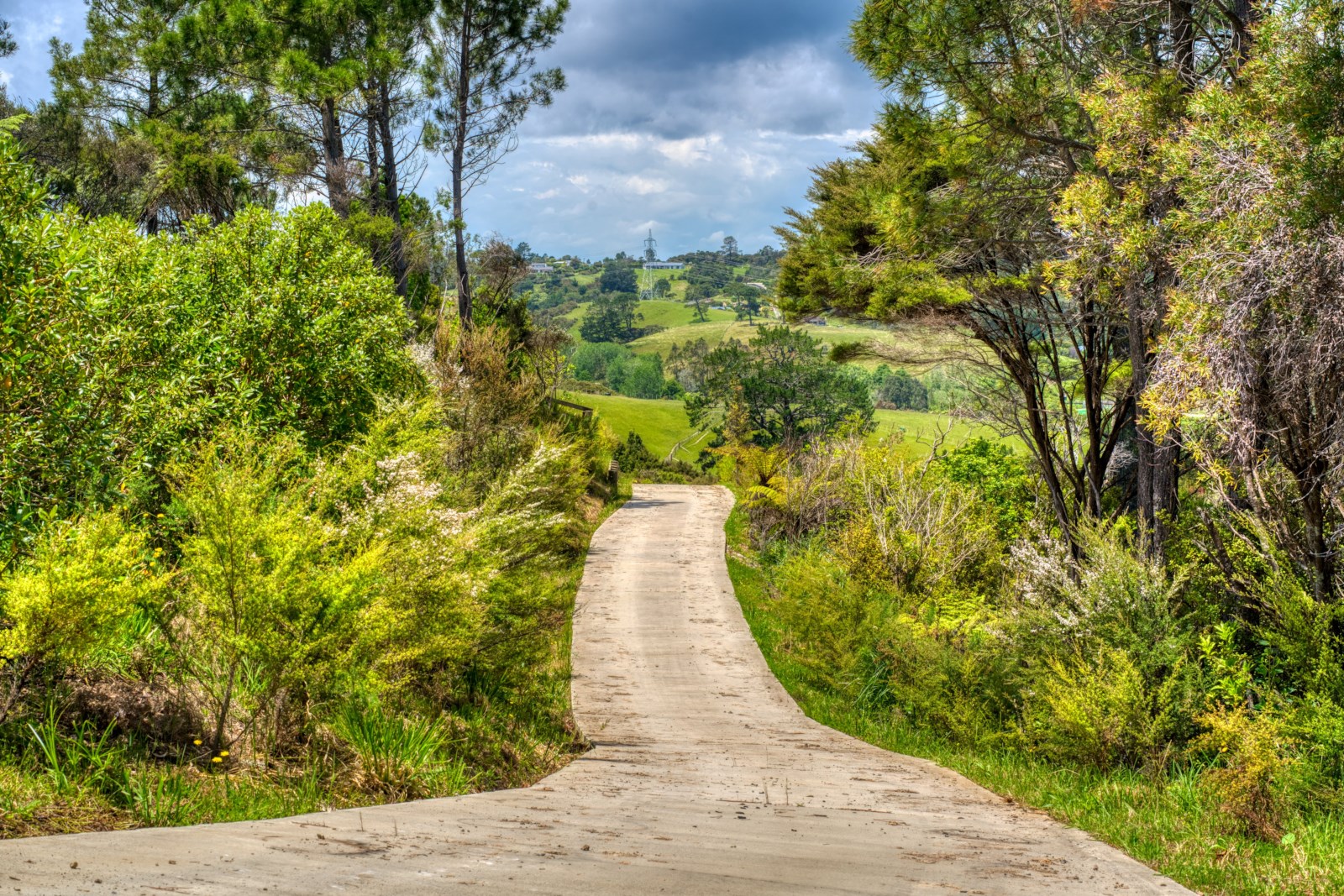 67 Coatesville Heights, Coatesville, Auckland - Rodney, 4 chambres, 0 salles de bain