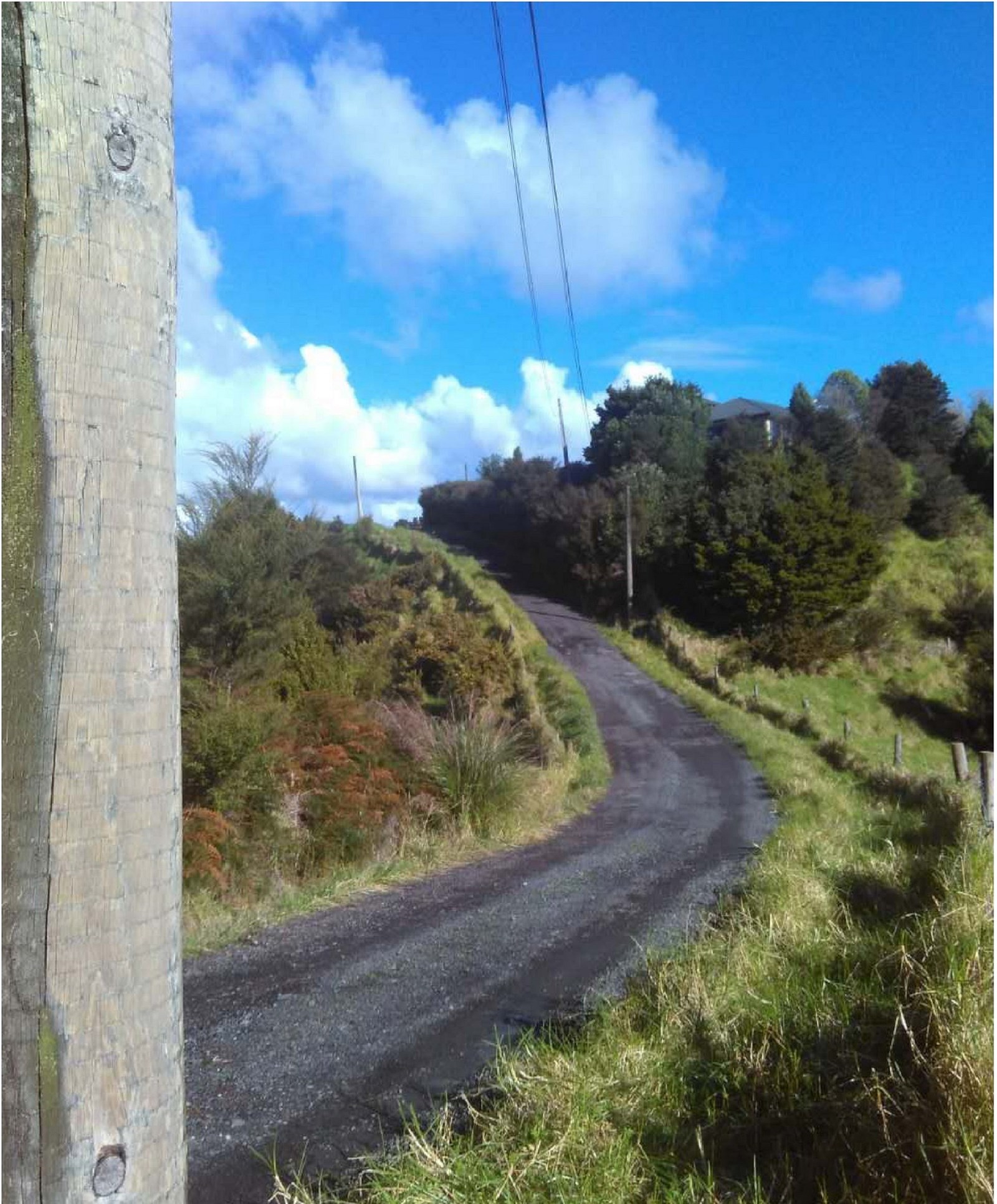 110 Green Hollows Road, Puhoi, Auckland - Rodney, 0 rūma, 0 rūma horoi