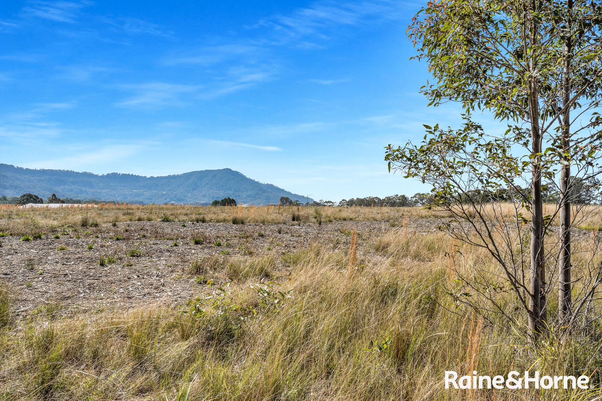 7 RINGTAIL LOOP, TAPITALLEE NSW 2540, 0 phòng ngủ, 0 phòng tắm, Section