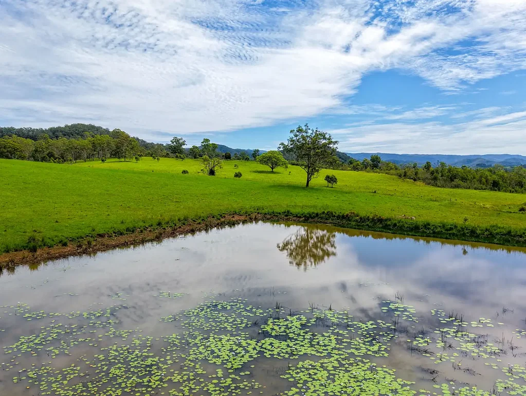 83 Lochinvar Road, Wherrol Flat, NSW 2429