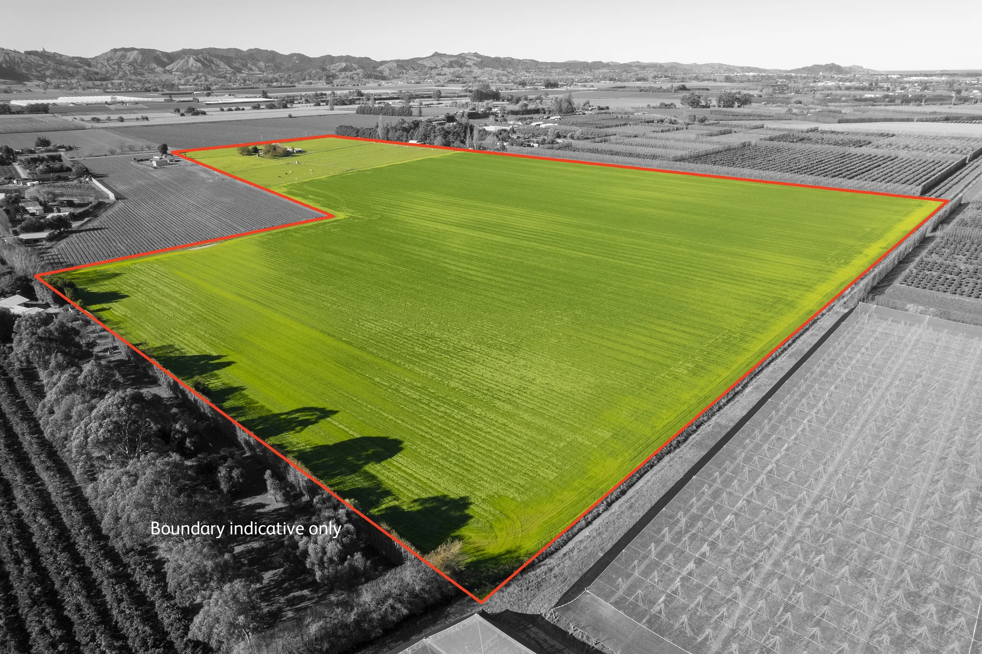 363 Matawai Road, Waerenga A Hika, Gisborne, 5 Bedrooms, 2 Bathrooms, Cropping