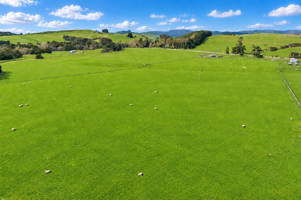 Dannevirke Hirawai - 603 ha and Pukeatua - 475 ha