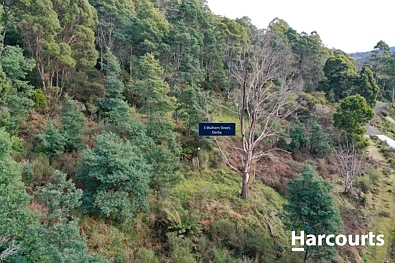 3 Mulhern Street, Derby, TAS 7264, 0 rūma, 0 rūma horoi, Section