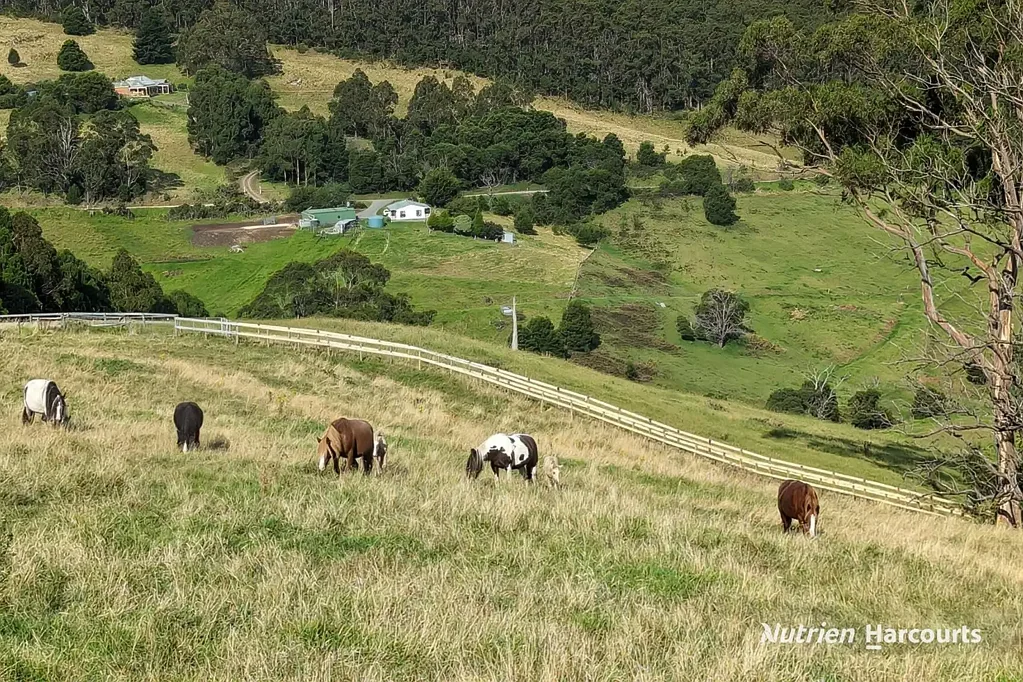 Devon North Scenic Rural Escape - Coastal & Mountain Outlooks