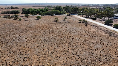 Lot 1 Scenic Drive, Napperby, SA 5540, 0 Bedrooms, 0 Bathrooms, Section