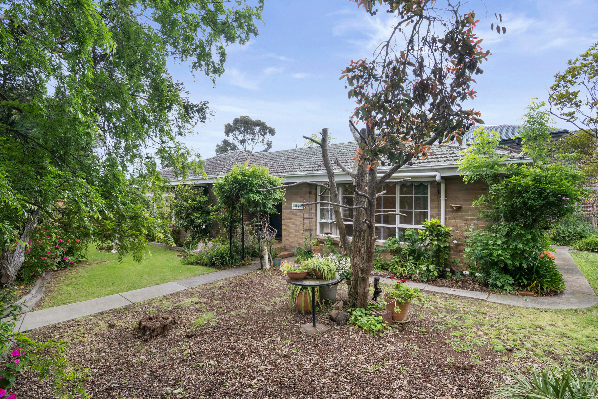 17 SANDOWEN AV, BURWOOD EAST VIC 3151, 0 Bedrooms, 0 Bathrooms, House