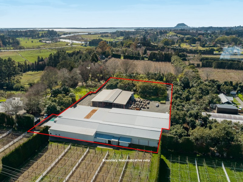 134b Wairoa Road, Wairoa, Bay Of Plenty, 0 રૂમ, 0 બાથરૂમ