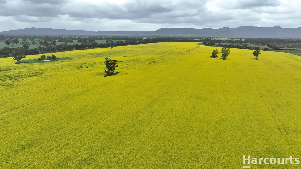 Laharum  101.2ha / 250.07 acres  Located at Laharum