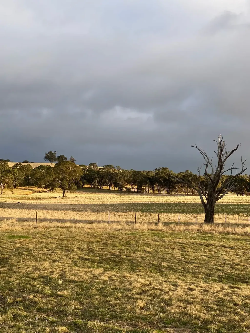 Tooborac Ideal Getway With back bounday on Wild Duck Creek