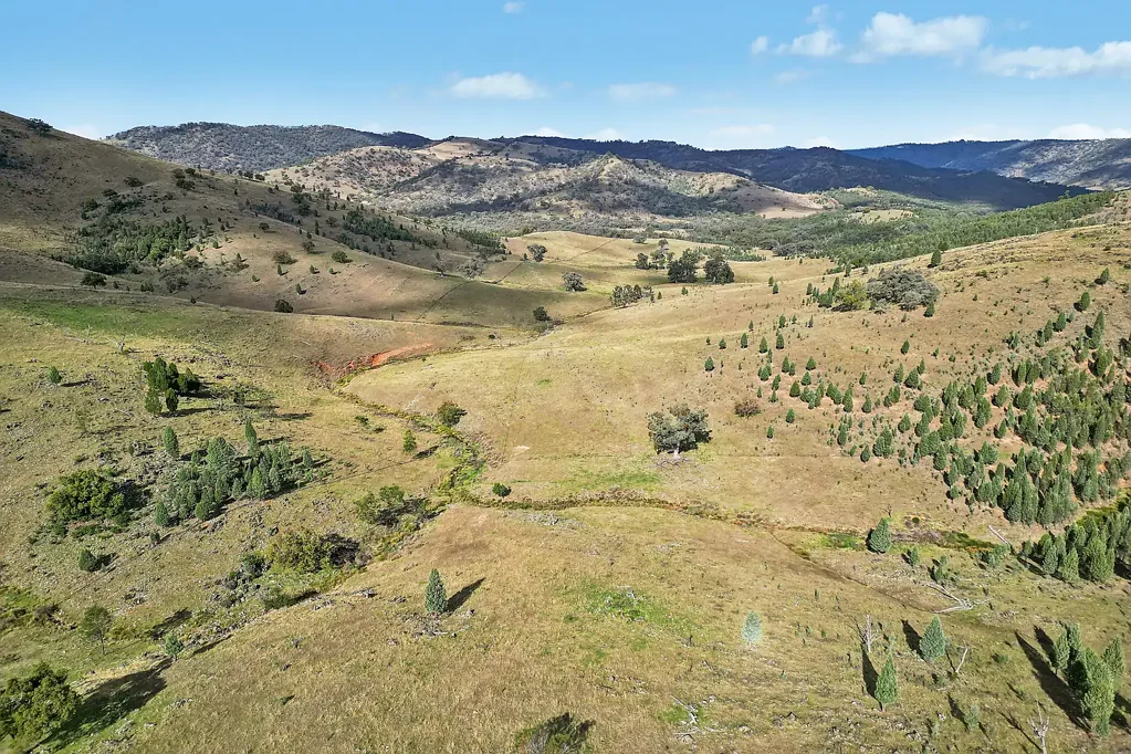 Mudgee  Expansive 115ha Rural Holding Offering Privacy, Space & Potential