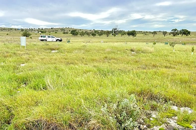 LOT 52 Second Street, Sheringa, SA 5607, 0 slaapkamers, 0 badkamers, Section