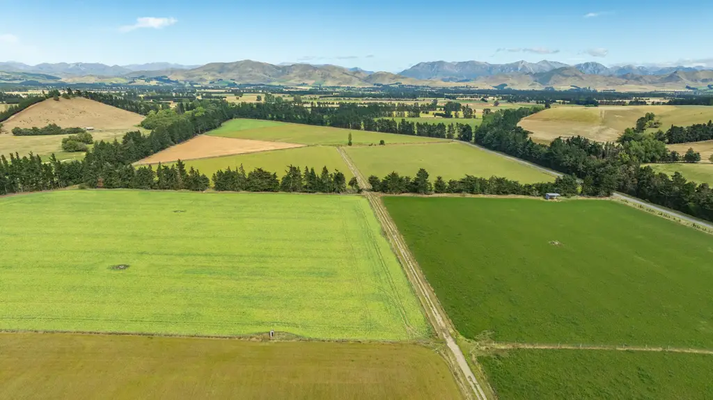 Hawarden  Dairy Support / First Farm / Finishing