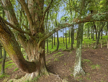 201 Checkley Road, Raglan, Waikato, 0 ਕਮਰੇ, 0 ਬਾਥਰੂਮ, Section