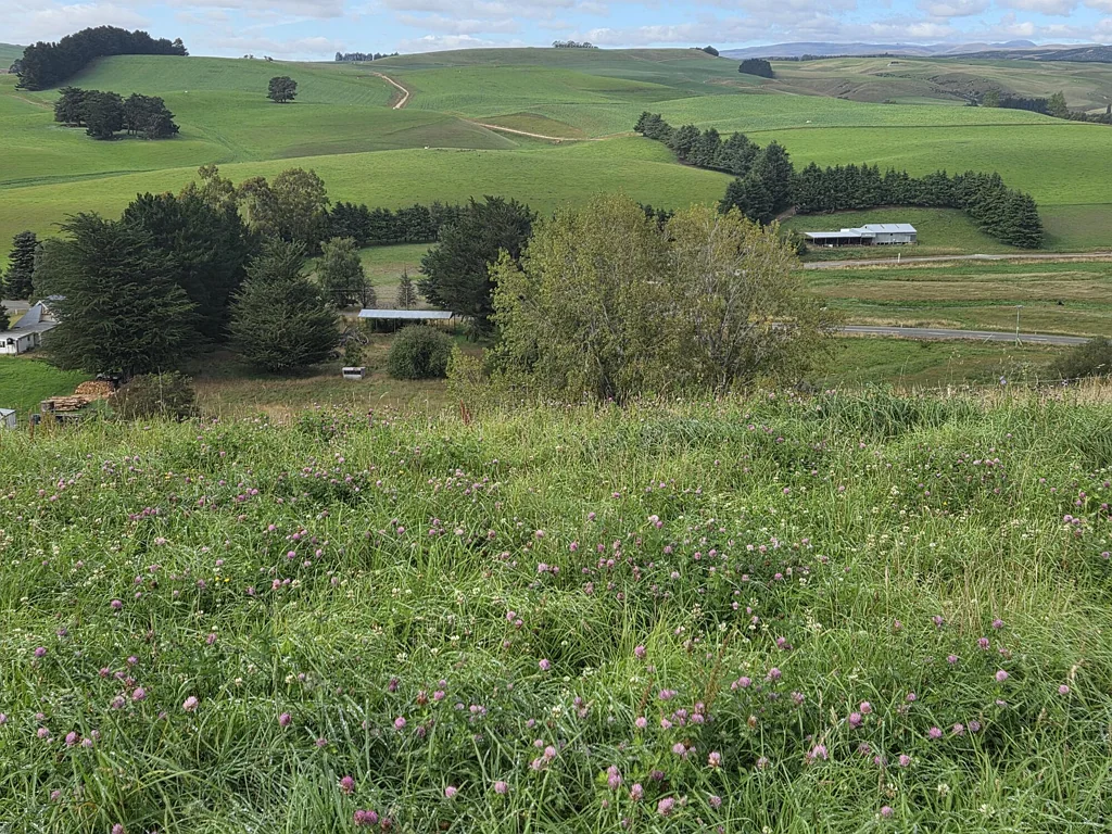 Five Forks and Surrounds Turnkey Rural Dairy Support Opportunity