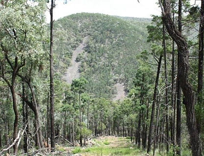 Lot 10 Mountain Creek, Tenterfield, Tamworth, 0 Schlafzimmer, 0 Badezimmer, Lifestyle Property