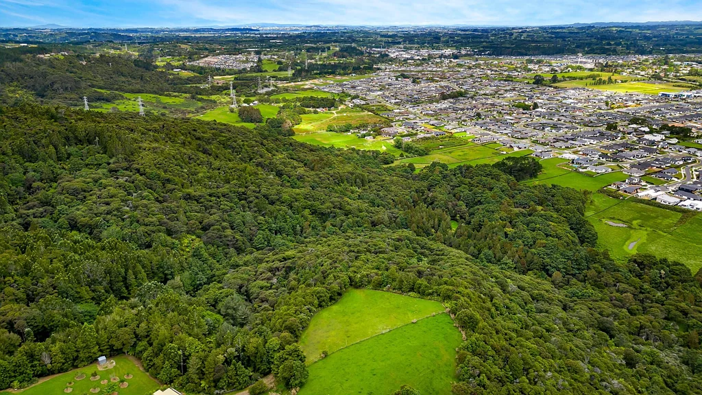 Waimauku 10-Acre Native Paradise | Elevated Build Site