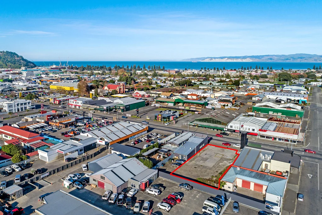 Gisborne Fringe commercial canvas