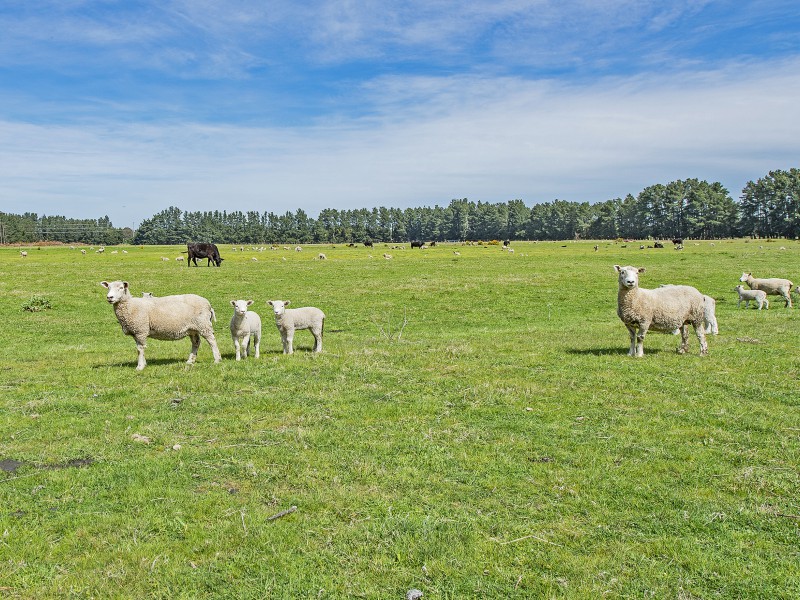 Weedons Ross Road, West Melton, Selwyn, 0 Schlafzimmer, 1 Badezimmer