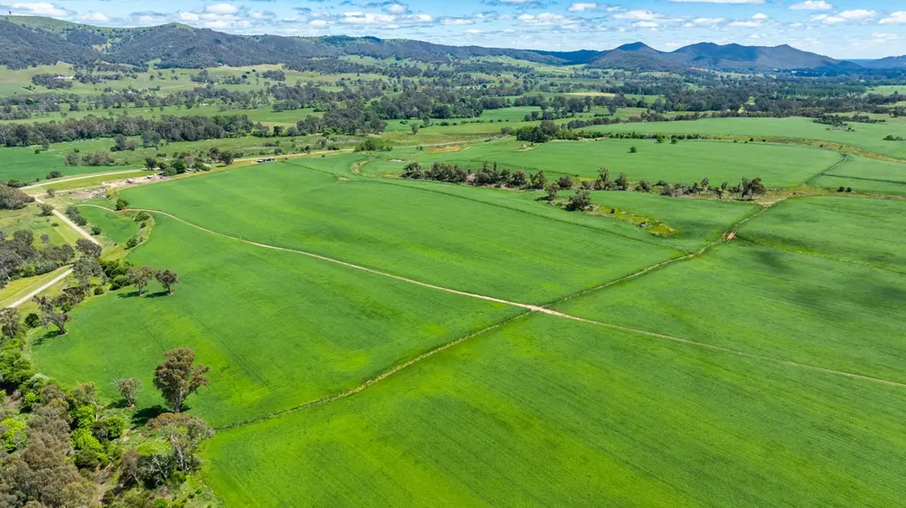 Whitfield "Waterside"