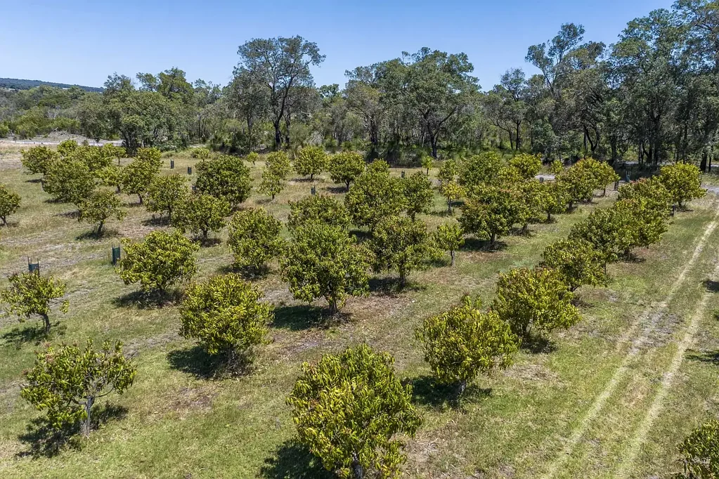 Lennard Brook  UNIQUE LAND HOLDING