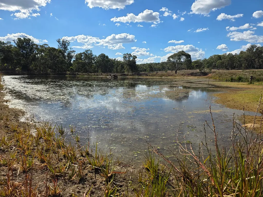 Thorndale SCENIC PRIVATE PROPERTY