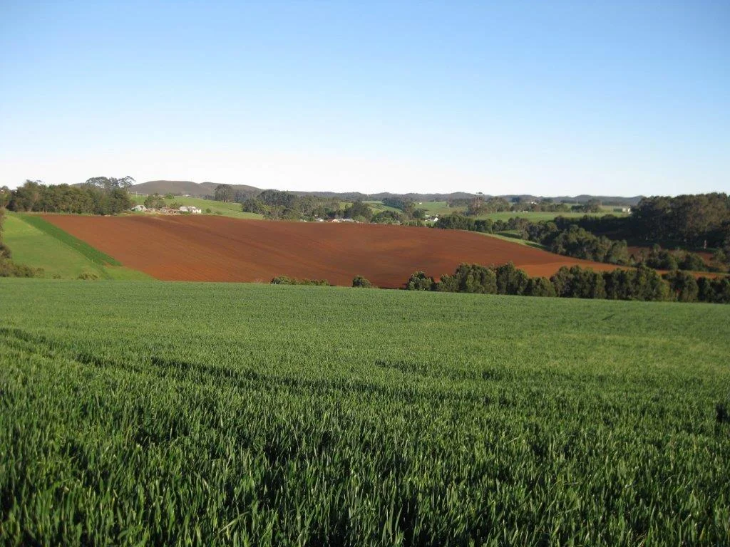 Myalla Myalla Cropping Land