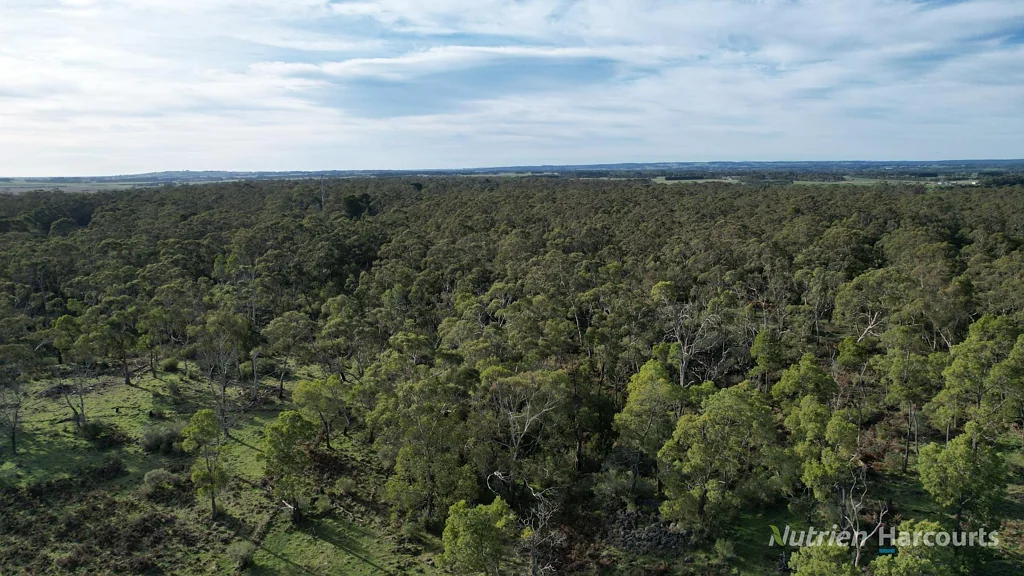 Pirron Yallock High Conservation Value Bush Block - Preserve Nature's Wonderland