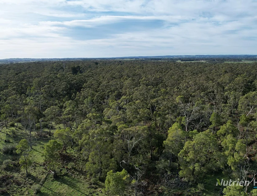 1805 Princes Highway, Pirron Yallock, Geelong, 0房, 0浴, Lifestyle Property