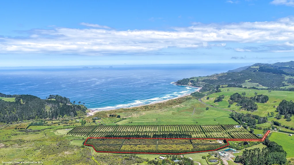 Whenuakite Scale, location and flexibility