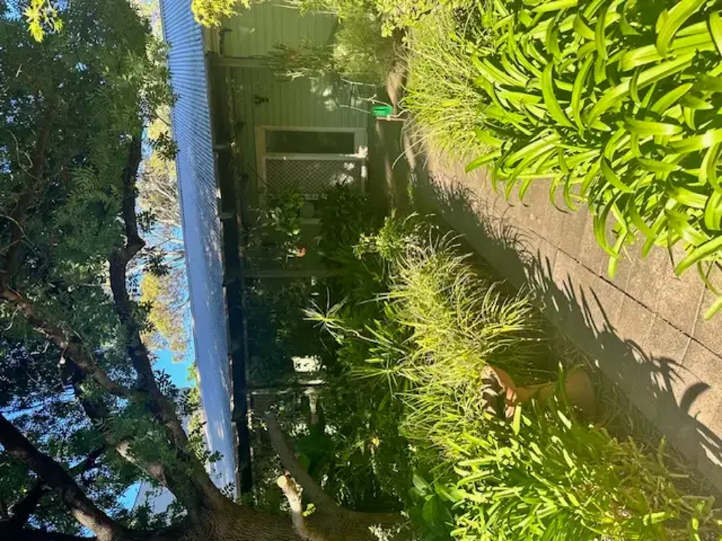 3 Bedroom home in lovely quiet street.