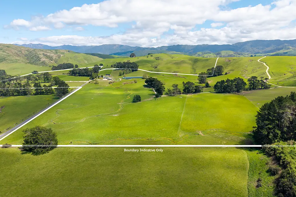 Eketahuna Kerrydale - First farm opportunity - 99 ha