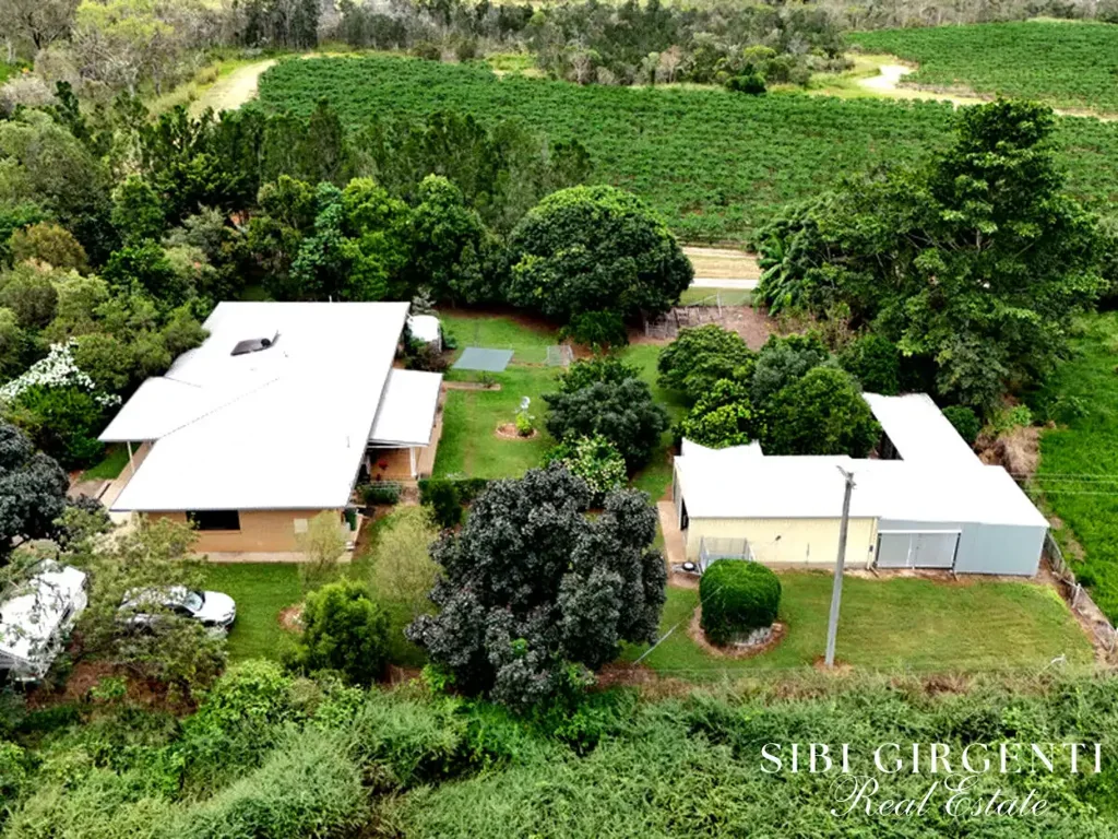 599 Springs Road, Paddys Green, QLD 4880
