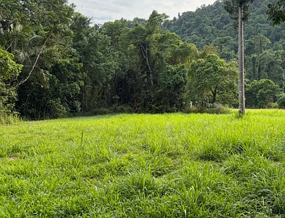 252 Jackson Road, Shell Pocket, QLD 4855, 0 habitaciones, 0 baños, Lifestyle Property